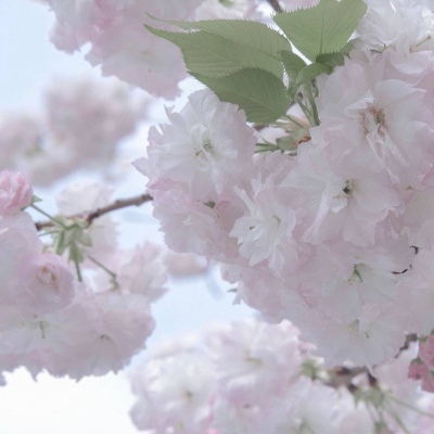 兽设冰雪元素设计兽圈群